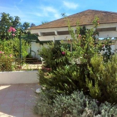 Appartement 3 Chambres Proche Mer Entre Palavas Les Flots Et Frontignan Plage Dans Maison Avec Jardin Villeneuve-lès-Maguelonne Exteriér fotografie