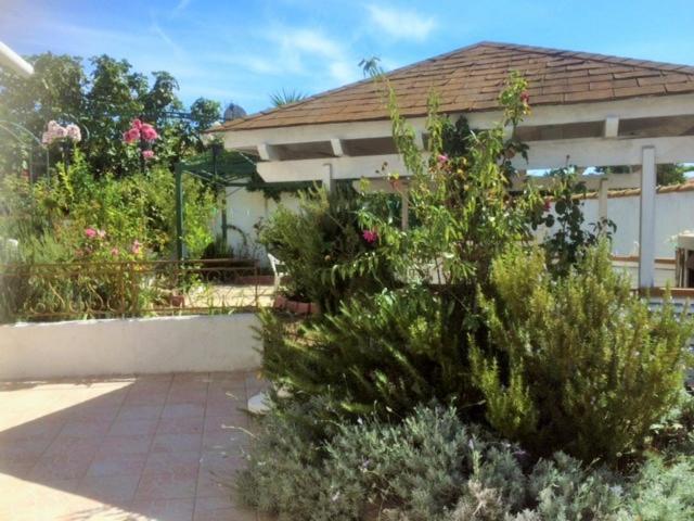Appartement 3 Chambres Proche Mer Entre Palavas Les Flots Et Frontignan Plage Dans Maison Avec Jardin Villeneuve-lès-Maguelonne Exteriér fotografie